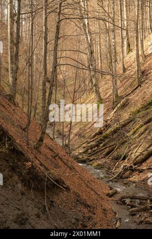 Nucsoara, Kreis Argeș, Muntenia, Rumänien Stockfoto