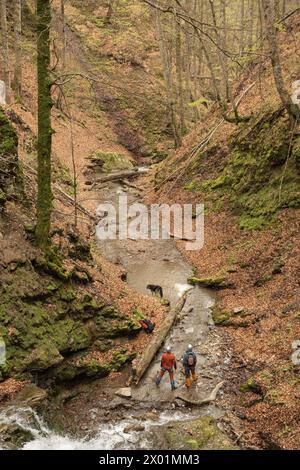 Nucsoara, Kreis Argeș, Muntenia, Rumänien Stockfoto
