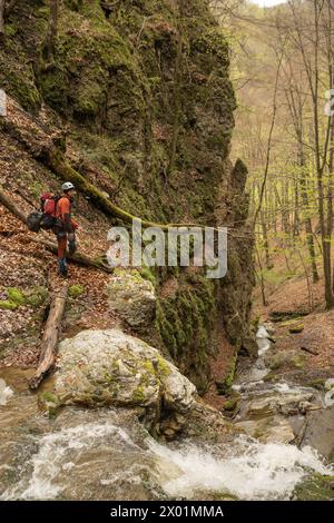 Nucsoara, Kreis Argeș, Muntenia, Rumänien Stockfoto