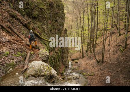 Nucsoara, Kreis Argeș, Muntenia, Rumänien Stockfoto
