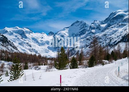 Nahaufnahme des Morteratschgletschers im Winter, Engadin, Schweiz. Stockfoto