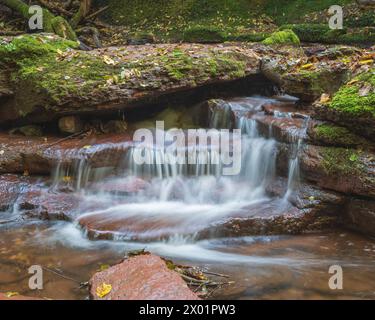 Der Hexenpool und die Wasserfälle im Naturschutzgebiet Pwll y Wrach, Talgarth, Powys, Wales, Großbritannien Stockfoto