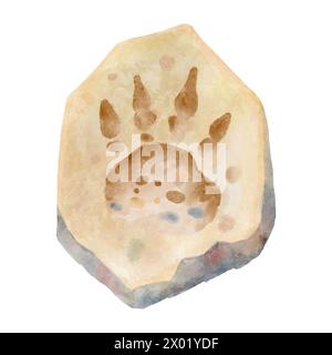 Dinosaurierfußabdruck im Fels. Aquarellfarben. Vektor . Stock Vektor