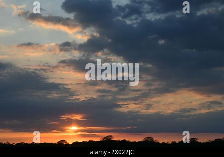 Sonnenuntergang über dem Costa-ricanischen Regenwald Stockfoto