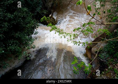 Üppiges Grün umgibt kaskadierende Wasserfälle im historischen Monasterio de Piedra Park, der Ruhe und natürliche Schönheit ausstrahlt. Stockfoto