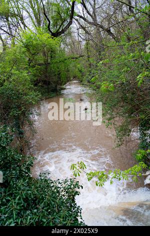 Üppiges Grün umgibt kaskadierende Wasserfälle im historischen Monasterio de Piedra Park, der Ruhe und natürliche Schönheit ausstrahlt. Stockfoto