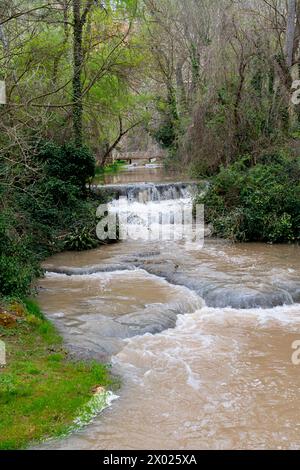 Üppiges Grün umgibt kaskadierende Wasserfälle im historischen Monasterio de Piedra Park, der Ruhe und natürliche Schönheit ausstrahlt. Stockfoto