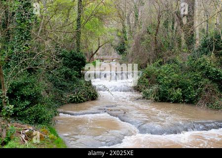 Üppiges Grün umgibt kaskadierende Wasserfälle im historischen Monasterio de Piedra Park, der Ruhe und natürliche Schönheit ausstrahlt. Stockfoto