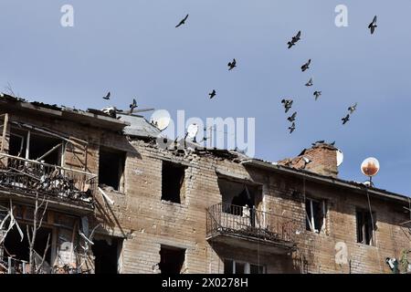 Orichhiv, Zaporischschschiha, Ukraine. April 2024. Tauben flogen über das Appartementgebäude, das durch russische Bombenangriffe in Orichschiv schwer beschädigt wurde. Orichhiv ist eine kleine Stadt in der Nähe von Zaporischschschi, die als letzte Säule des Widerstands für ukrainische Armeesoldaten im Süden dient, da die russischen Streitkräfte weiter in den befreiten Robotyne vorrücken. Die Einwohner Orichjews leben mit rund 700 Menschen und riskieren ihr Leben, während sie täglich die Bomben- und Artillerieangriffe aushalten, während sie ums Überleben kämpfen. (Credit Image: © Andriy Andriyenko/SOPA Images via ZUMA Press Wire) NUR REDAKTIONELLE VERWENDUNG! Nicht für kommerzielle Zwecke Stockfoto