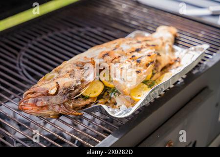 Ganze gegrillte Barsche gefüllt mit Zitrone und Rosmarin Stockfoto