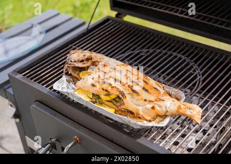 Ganze gegrillte Barsche gefüllt mit Zitrone und Rosmarin Stockfoto