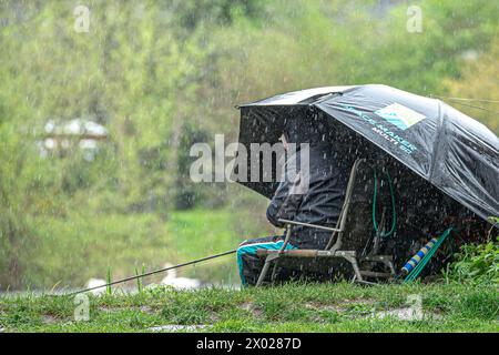 Kidderminster, Großbritannien. April 2024. Wetter in Großbritannien: fisherman bietet Schutz vor dem Regen unter einem großen Fischbrolly, während die Midlands heute von anhaltenden Regenschauern bedeckt werden. Quelle: Lee Hudson/Alamy Live News Stockfoto