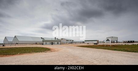 Seagraves, Texas, USA – 23. März 2024: Metallgebäude des Trico Peanut Processing Plant Stockfoto