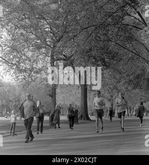 Nur wenige Meter von den Geschäften und Restaurants der Upper Street und Holloway Road entfernt befindet sich die öffentliche Einrichtung des Islington Borough Council, die mehrere Bäume umschlossene Highbury Fields in einem der teuersten Orte des Stadtteils umfasst. Bei jedem Wetter lockt es familiäre Ausflüge für Picknicks und Bbqs, Trainingsgruppen, Hundeschlittenläufer, Läufer und sogar eine jährlich stattfindende kleine Messe an. Stockfoto