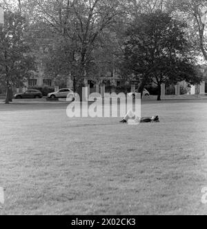 Nur wenige Meter von den Geschäften und Restaurants der Upper Street und Holloway Road entfernt befindet sich die öffentliche Einrichtung des Islington Borough Council, die mehrere Bäume umschlossene Highbury Fields in einem der teuersten Orte des Stadtteils umfasst. Bei jedem Wetter lockt es familiäre Ausflüge für Picknicks und Bbqs, Trainingsgruppen, Hundeschlittenläufer, Läufer und sogar eine jährlich stattfindende kleine Messe an. Stockfoto