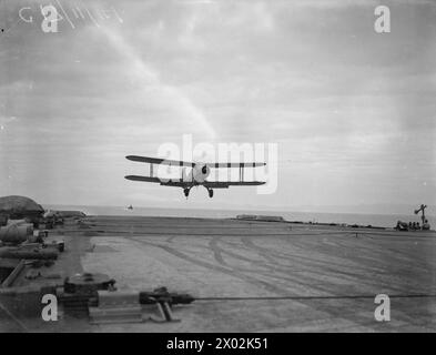 AN BORD DER HMS SIEGREICH. 16. UND 17. NOVEMBER 1941 IN HVALFJORD, ISLAND. - Fairey Albacore landet SIEGREICH auf der HMS Stockfoto