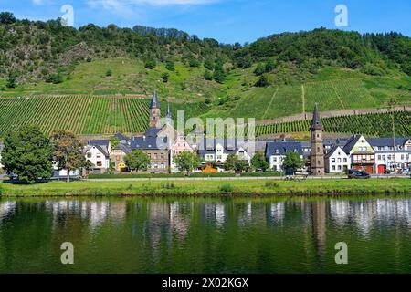 Blick auf Cochem und die Mosel, Cochem, Rheinland-Pfalz, Deutschland, Europa Stockfoto