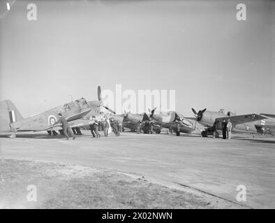 US-MARINEFLIEGER IN GROSSBRITANNIEN. APRIL 1942, HMS SPARROWHAWK, ROYAL MARINEFLUGSTATION HATSTON. US-MARINEFLIEGER UND IHRE FLUGZEUGE AN DER ROYAL MARINEFLUGSTATION. - Der Fairey Fulmar-Jagdflugzeug der Flotte wird im Vordergrund weggerollt. Im Hintergrund befindet sich eine Reihe von Grumman F4F Wildcats und Douglas TBD Devastator Torpedobombern (Flügel gefaltet) Stockfoto