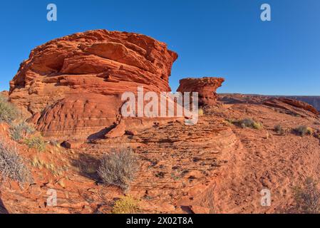 Hoodoos auf einem Sandsteinrücken in der Nähe des Spur Canyon bei Horseshoe Bend, Arizona, USA, Nordamerika Stockfoto