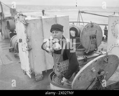 Besatzungsmitglieder an Bord des Zerstörers der Tribal-Klasse HMS Eskimo werden im Februar 1942 in Nordgewässern gezeigt, wobei ein Seemann absteigt, um die Rum-Ausgabe zu erhalten. Stockfoto