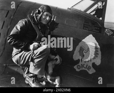 UNITED STATES ACHTE AIR FORCE IN GROSSBRITANNIEN, 1942-1945 - First Lieutenant Quince L. Brown von der 84th Fighter Squadron, 78th Fighter Group, mit P-47 Thunderbolt (WZ-J, Seriennummer 42-74753), wahrscheinlich auf Duxford Air Base. 1943-1944.gedruckte Beschriftung auf der Rückseite: '50203 USAF - Europa - erster Mann im europäischen Theater, der vier deutsche Flugzeuge an einem Tag zerstört, während er einen Republic P-47 Thunderbolt-Jagdflugzeug fliegt. Quince L. Brown, Jr. aus Bristow, Okla. Er ist hier mit seinem Hund abgebildet, direkt neben seinem Flugzeugabzeichen 'OKIE'. 19 lange Monate lang ein Fluglehrer in Randolph und Kelly Fields, in Stockfoto