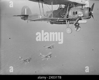 AUSBILDUNG VON LUFTWAFFENPILOTEN DER FLOTTE IM TORPEDOABWURF. ROYAL MARINEFLUGSTATION, CRAIL. - Fairey Schwertfisch Mk I Naval Torpedoflugzeug im Flug. (785 Sqd) , Stockfoto