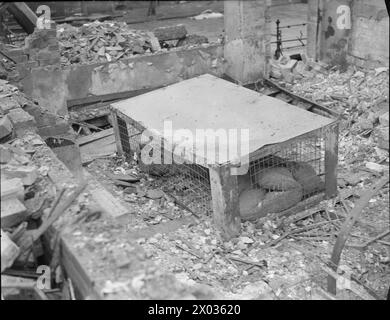 MORRISON SHELTER ON TRIAL: TESTING THE NEW INDOOR SHELTER, 1941 - dieses Foto zeigt das Morrison Shelter, das noch intakt ist, nachdem die Trümmer und Trümmer des zerstörten Hauses beseitigt worden sind, nachdem der Test des Shelter irgendwo in Großbritannien im Jahr 1941 durchgeführt wurde Stockfoto