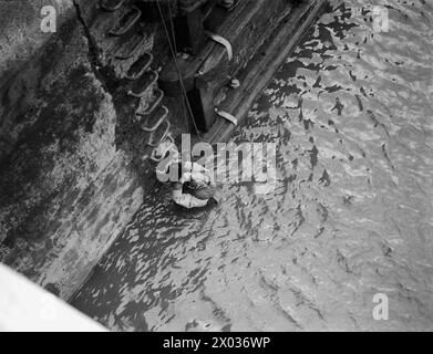 WIE DIE ROYAL NAVY DIE SCHELDE NACH ANTWERPEN RÄUMTE. NOVEMBER 1944 AN BORD EINER MMS UND IN TERNEUZEN UND ANTWERPEN. MINENRÄUMARBEITEN IN DER SCHELDE, UM DEN ZUGANG NACH ANTWERPEN ZU ERMÖGLICHEN. - Ein Taucher, der das Dock nach Minen oder Hindernissen durchsucht Stockfoto