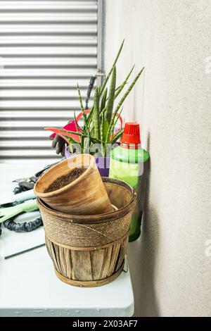 Gartenzubehör mit Flüssigdünger, Gießkanne für Rosen, Schlauch, Schutzhandschuhe, leere Töpfe und Zimmerpflanzen auf Terrasse mit Zement und Stockfoto