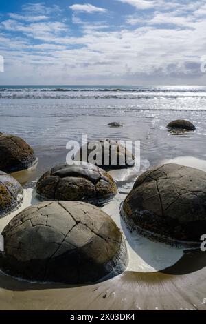 Moeraki Boulders, die Catlins, Südinsel, Neuseeland Stockfoto