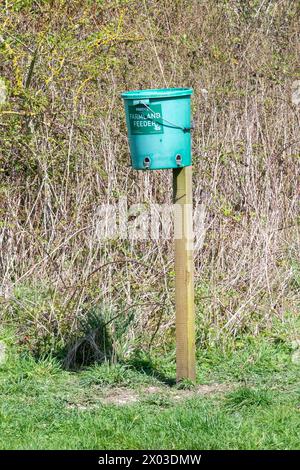 Futtermittel für Farmvögel, ein Futterbehälter für Vögel an einem Pfosten zur Fütterung von Farmvögeln zur Erhaltung seltener Arten, South Downs, West Sussex, England, Vereinigtes Königreich Stockfoto