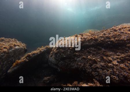 Bootswrack Unterwasserlandschaft Meer Unterwasserboden Meeresfisch Stockfoto