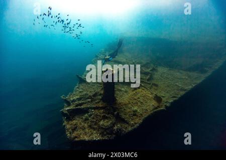Bootswrack Unterwasserlandschaft Meer Unterwasserboden Meeresfisch Stockfoto
