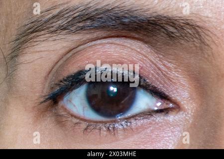 Nahaufnahme Porträt des rechten Auges einer schönen Frau, mit einer schwarzen Pupille und einer definierten Augenbraue Stockfoto