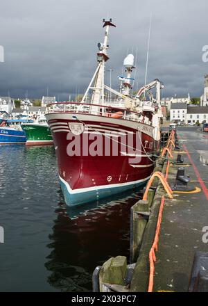 Fiona T117. Fischfang-Trawler im Hafen von Killybegs, County Donegal, Irland Stockfoto