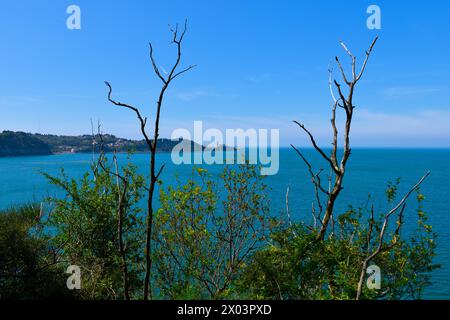 Blick auf Piran von Strunjan an der Adriaküste in Littoral, Slowenien Stockfoto