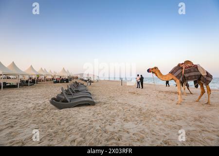 Liegestühle am Strand bei Sonnenuntergang in Meerwasser, Binnenmeer, ein Top-Touristenziel in Khor Al Adaid Beach Stockfoto