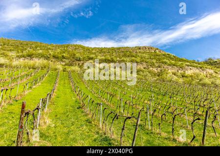 Eine frühlingshafte Radtour Anfang April bei herrlichem Sonnenschein entlang der Saale- und ILM-Talradwege von Naumburg/Saale bis kurz vor Gotha - Do Stockfoto