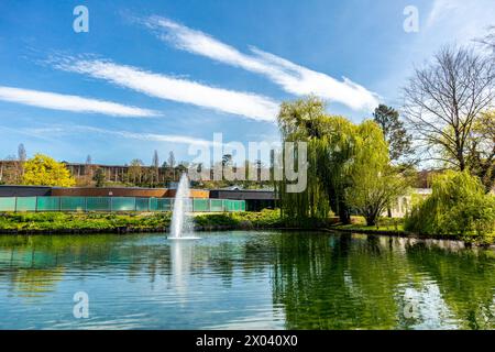 Eine frühlingshafte Radtour Anfang April bei herrlichem Sonnenschein entlang der Saale- und ILM-Talradwege von Naumburg/Saale bis kurz vor Gotha - Do Stockfoto