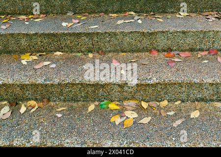 Gelb gefallene Blätter auf der Treppe im Park. Herbstlandschaft. Herbst Hintergrund. Stockfoto