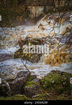 Der River Wharfe fließt über Felsen in Grassington, Yorkshire, England. Stockfoto