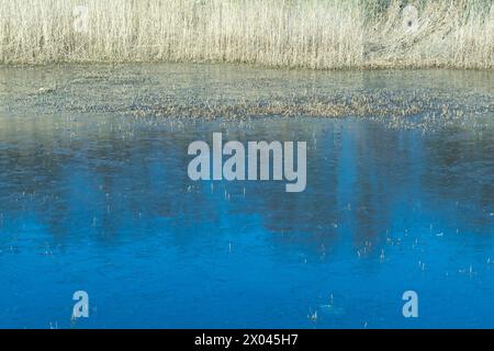 Blaues Eis auf dem See. Gefrorener Teich. Frost. Dünnes Eis, Winter in der Natur. Stockfoto