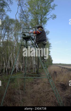 Ein starker Mann klettert in einen Jägerhochstand in einem wunderschönen Moorgebiet Stockfoto