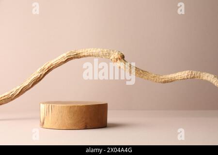 Präsentation für das Produkt. Hölzerner Podium und Baumzweig auf beigefarbenem Hintergrund Stockfoto