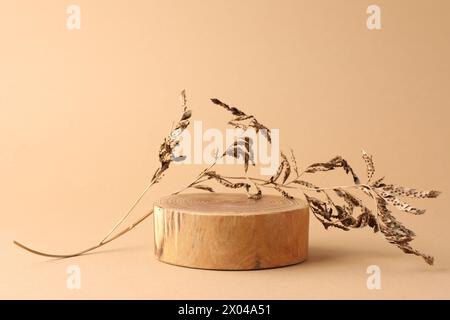 Präsentation für das Produkt. Hölzerne Podium und trockene Pflanze auf beigem Hintergrund Stockfoto