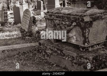 Alte Grabsteine und Gräber auf dem Stadtgottesacker-Friedhof in Halle auf Sepia-Schwarz-weiß-Bild Stockfoto