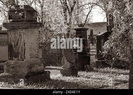 Alte Grabsteine und Gräber auf dem Stadtgottesacker-Friedhof in Halle auf Sepia-Schwarz-weiß-Bild Stockfoto