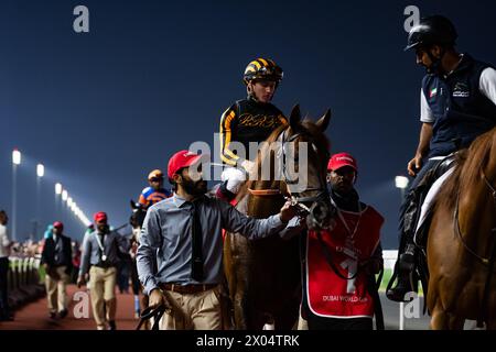 Clapton und Dylan Davis starten zum G1 Emirates Dubai World Cup 2024, Meydan Racecourse, 24.03.30. Credit JTW equine Images / Alamy. Stockfoto