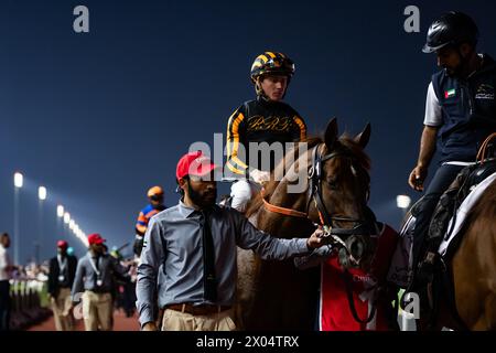 Clapton und Dylan Davis starten zum G1 Emirates Dubai World Cup 2024, Meydan Racecourse, 24.03.30. Credit JTW equine Images / Alamy. Stockfoto