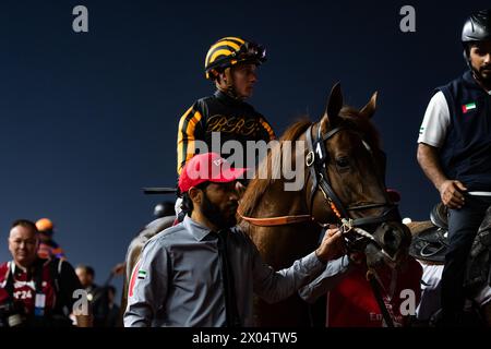 Clapton und Dylan Davis starten zum G1 Emirates Dubai World Cup 2024, Meydan Racecourse, 24.03.30. Credit JTW equine Images / Alamy. Stockfoto